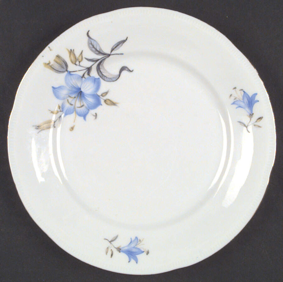 WIG29 Salad Plate by Winterling - Bavaria-1