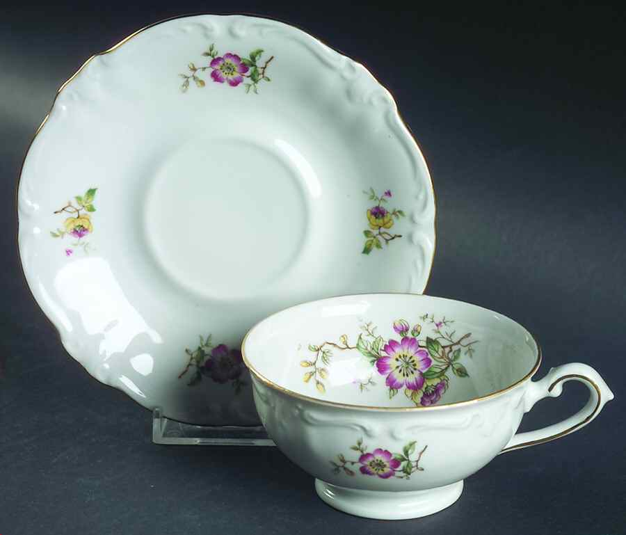 WIG54 Footed Cup & Saucer Set by Winterling - Bavaria-1