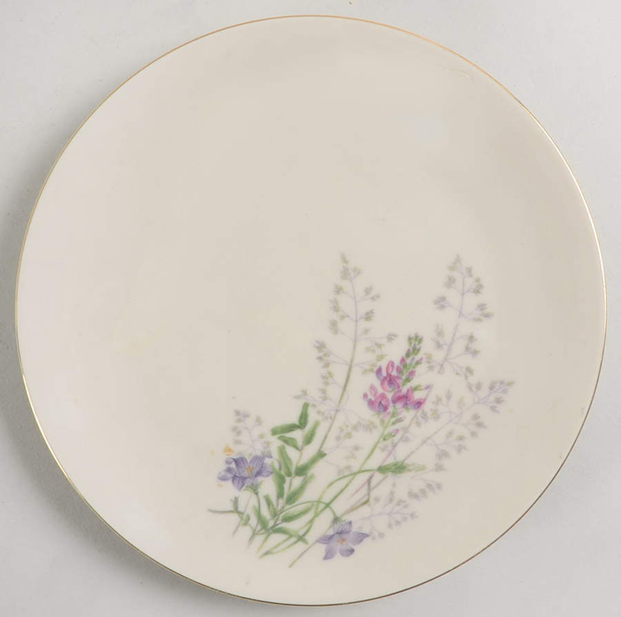 WIG73 Salad Plate by Winterling - Bavaria-1