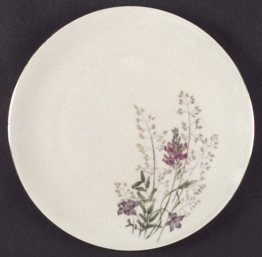 WIG73 Bread & Butter Plate by Winterling - Bavaria-1
