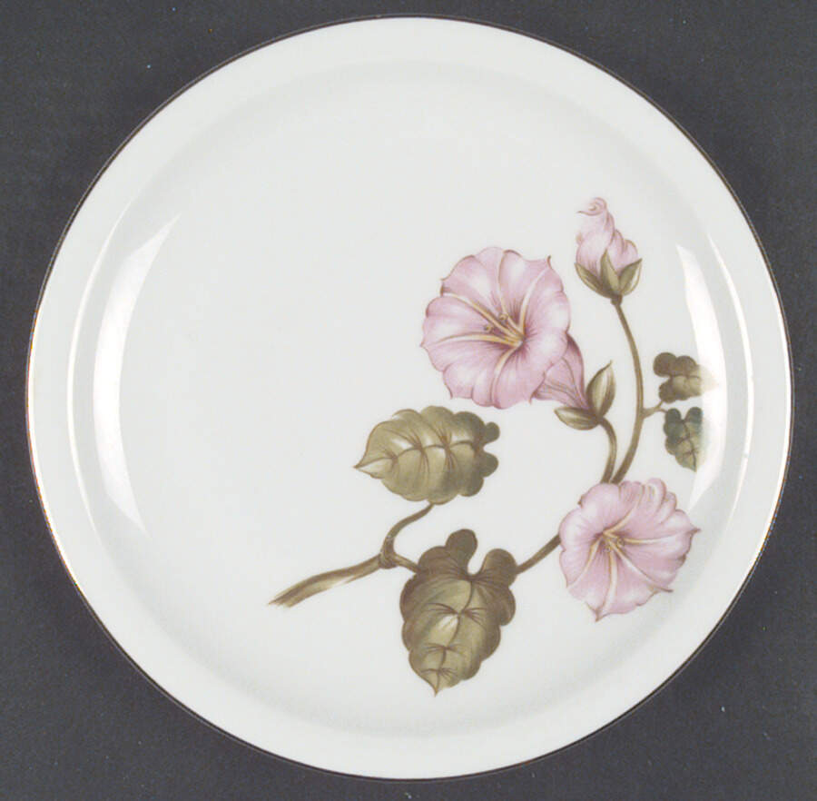 WIG83 Dinner Plate by Winterling - Bavaria-1