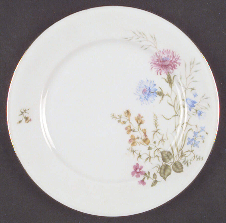 WIG94 Salad Plate by Winterling - Bavaria-1