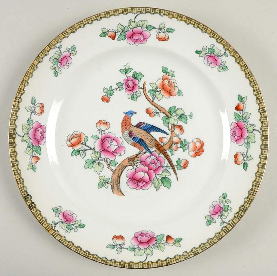 Pheasant (Smooth) Dinner Plate by F Winkle-1