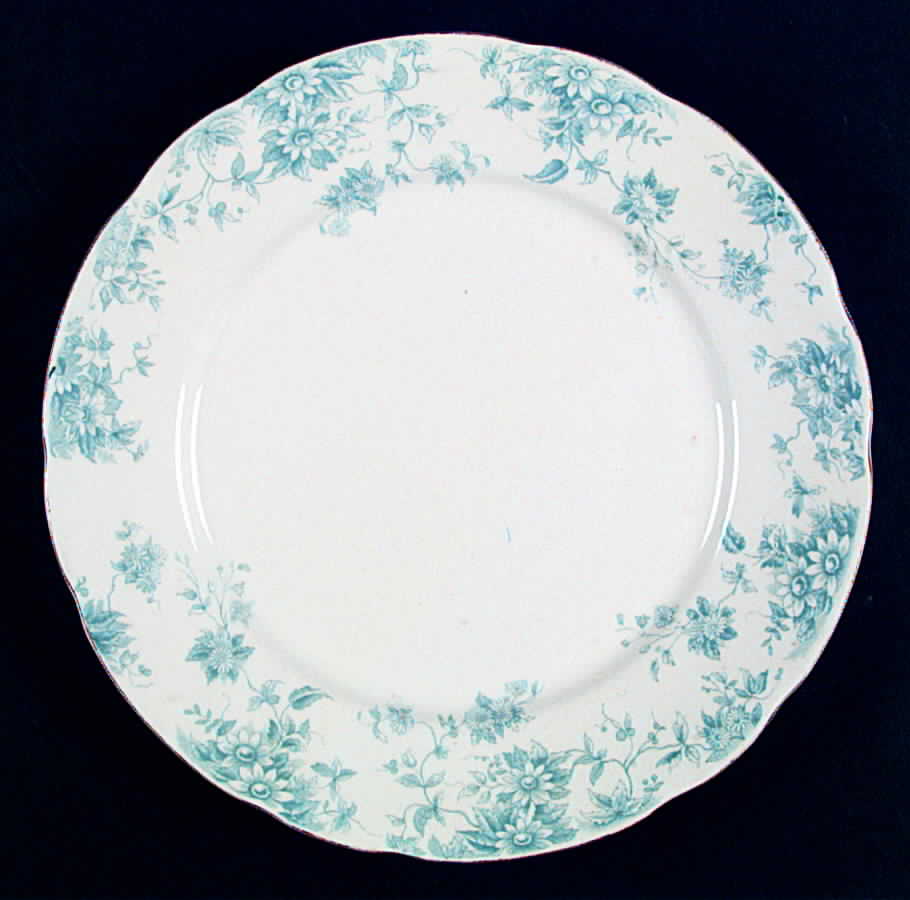 Vigilant Dinner Plate by Arthur J Wilkinson-1