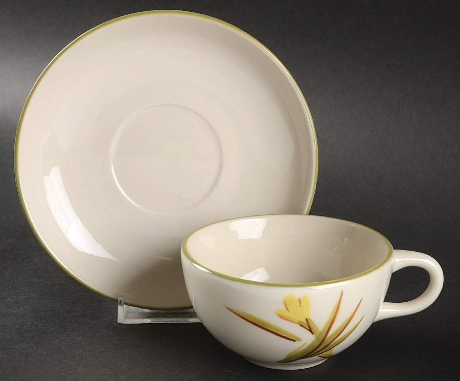 Tiger Iris Flat Cup & Saucer Set by Winfield-1