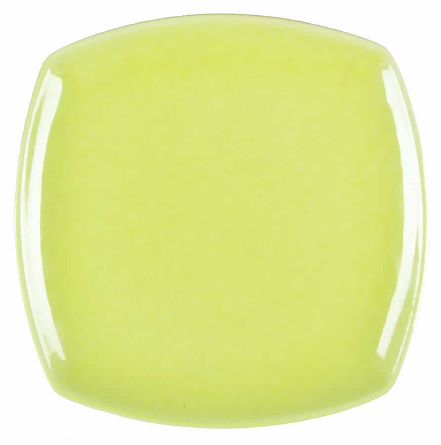 WIN12 Dinner Plate by Winfield-1