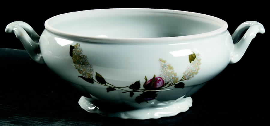 Briar Rose Tureen No Lid by Walbrzych-1