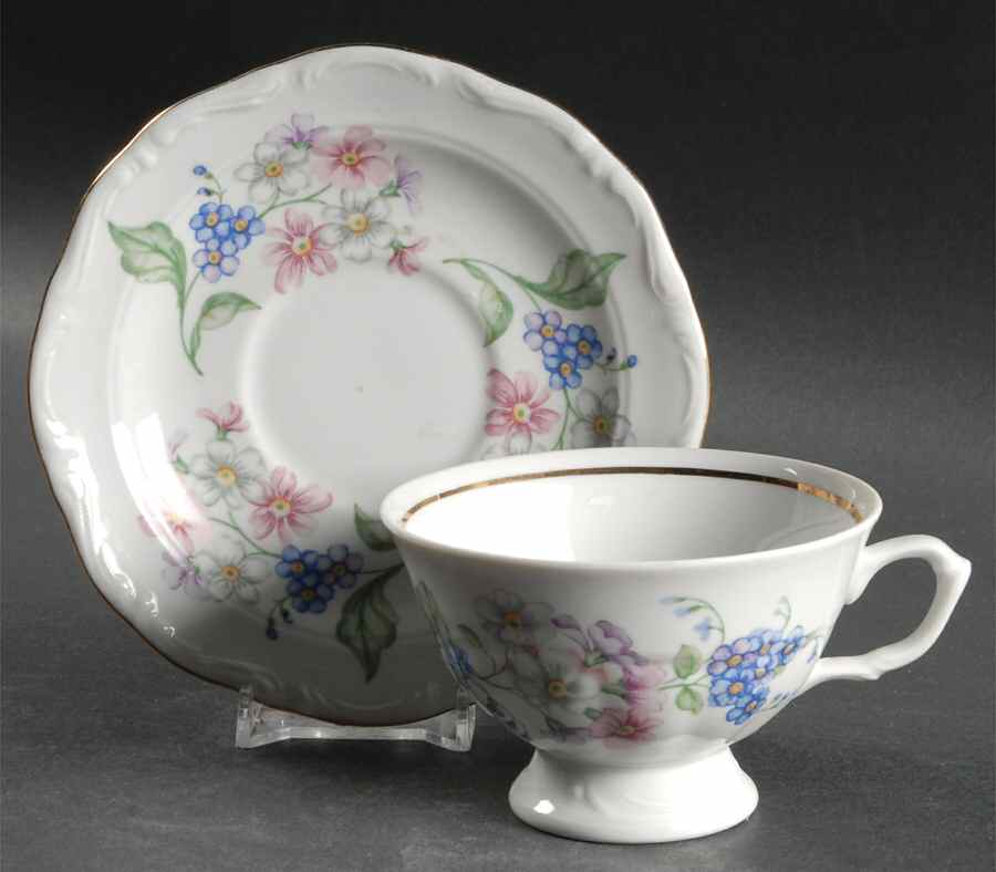Garland Footed Cup & Saucer Set by Walbrzych-1