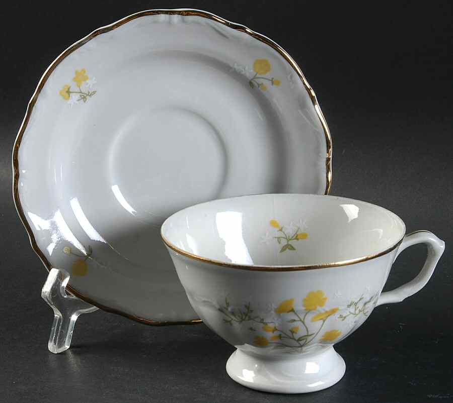 Spring Time Footed Cup & Saucer Set by Walbrzych-1