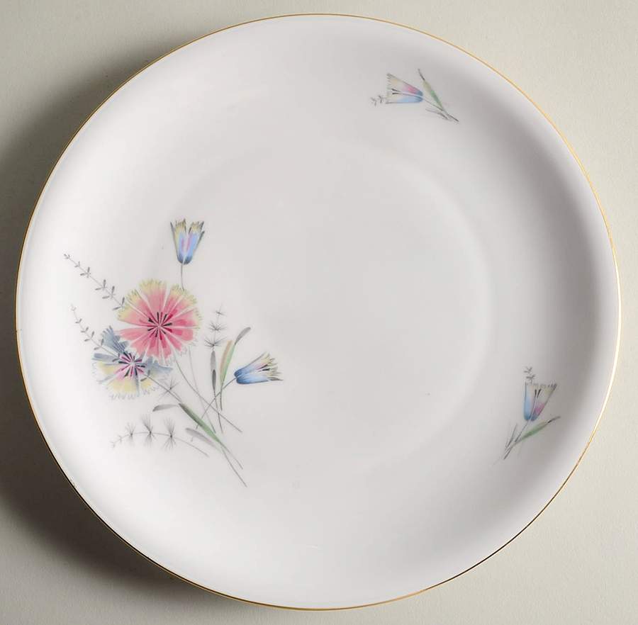 WLD1 Dinner Plate by Waldershof-1