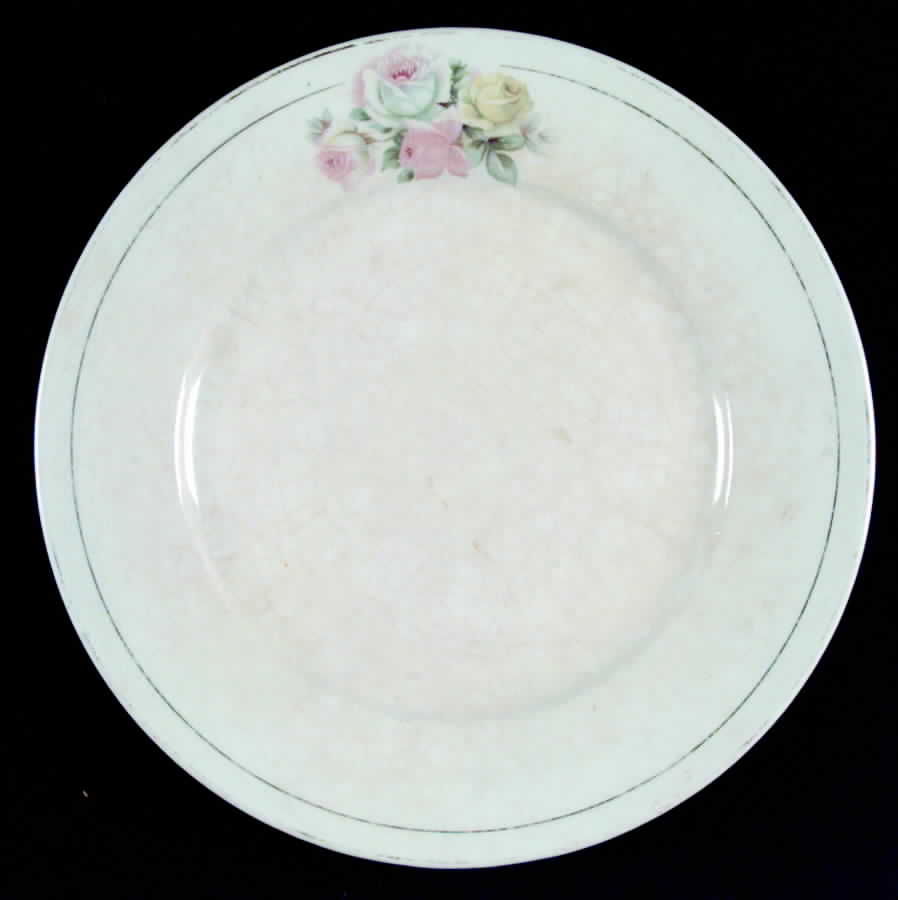 WLS1 Dinner Plate by Wellsville-1