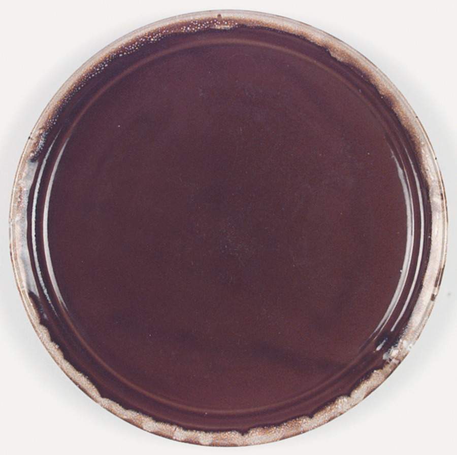 WNS1 Dinner Plate by Western Stoneware-1