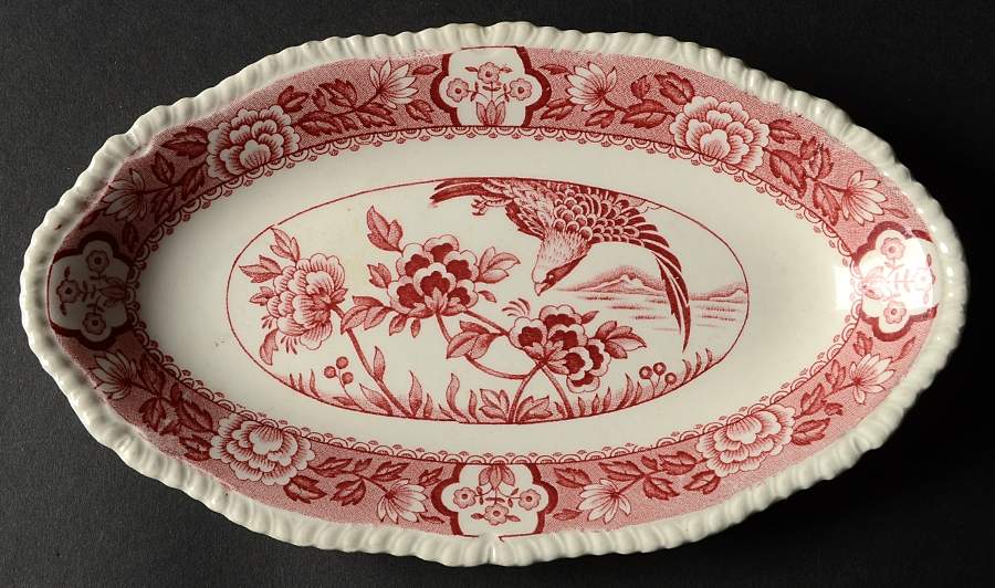 Aquila Pink Relish by Wood & Sons-1