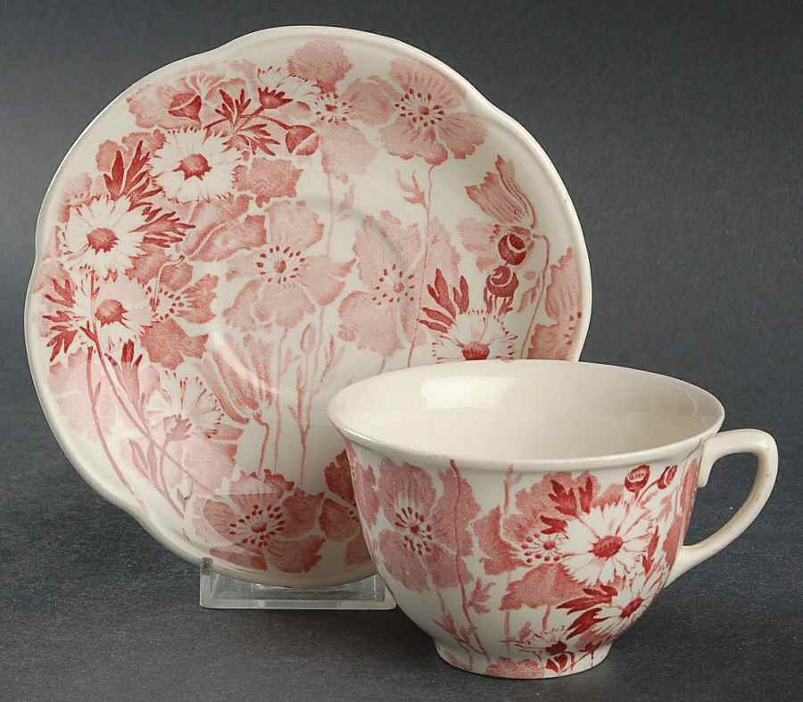 Gay Day Pink Flat Cup & Saucer Set by Wood & Sons-1