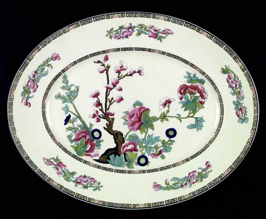 Indian Tree (Aqua Trim) 14" Oval Serving Platter by Wood & Sons-1