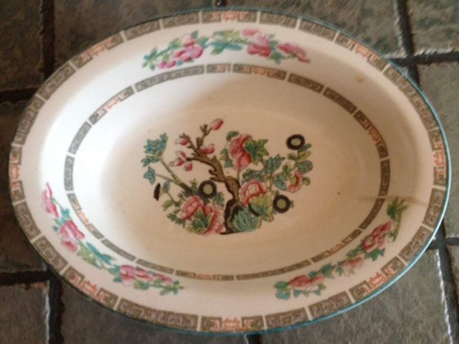 Indian Tree (Aqua Trim) 10" Oval Vegetable Bowl by Wood & Sons-1