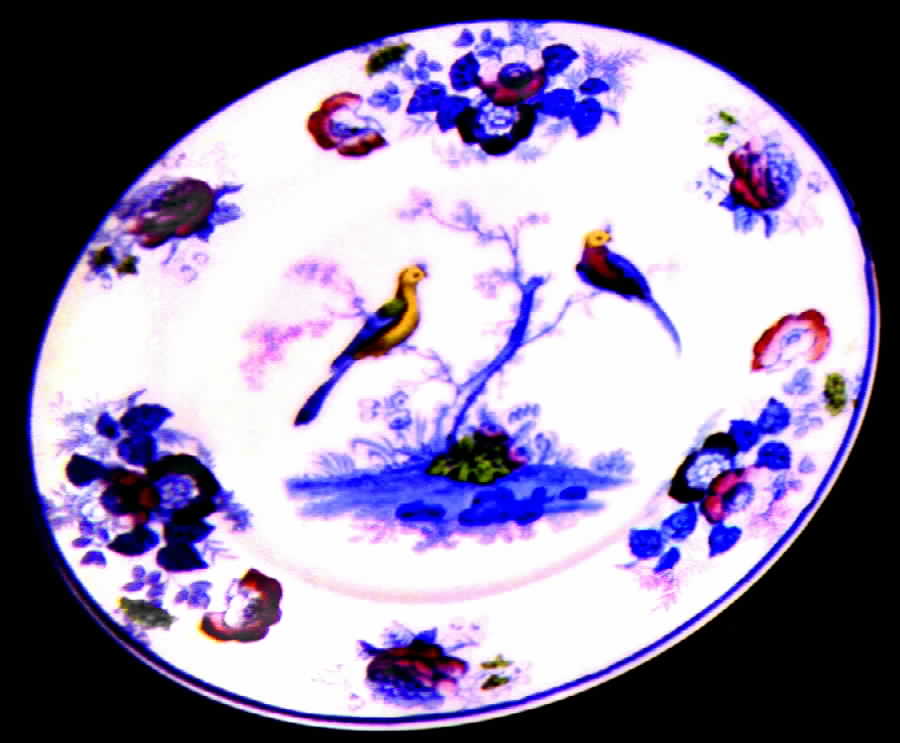 WOO15 Dinner Plate by Wood & Sons-1