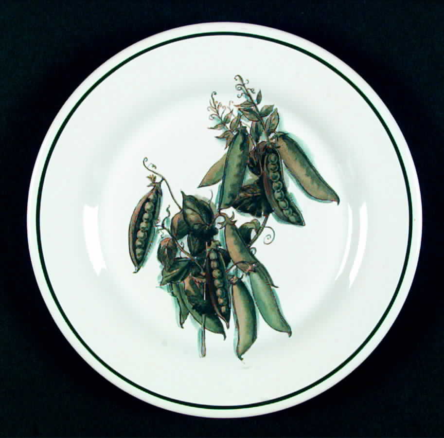 Harvest Salad Plate by Williams-Sonoma-1