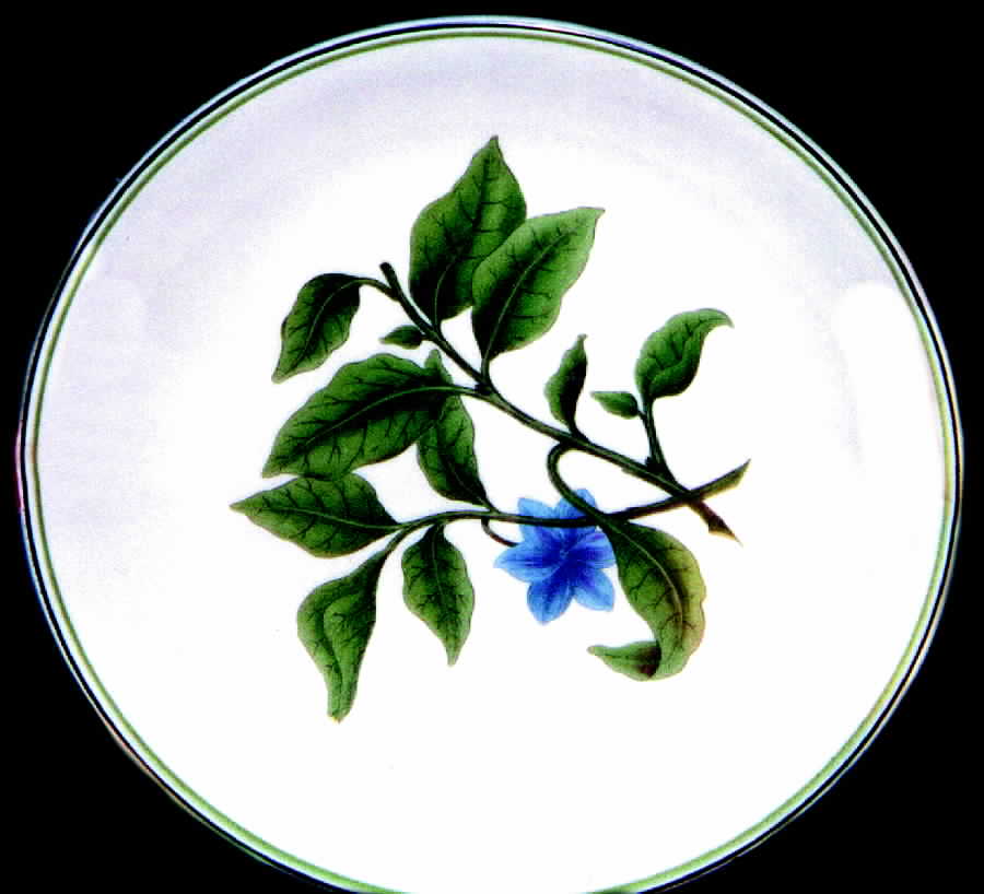 WSO3 Dinner Plate by Williams-Sonoma-1