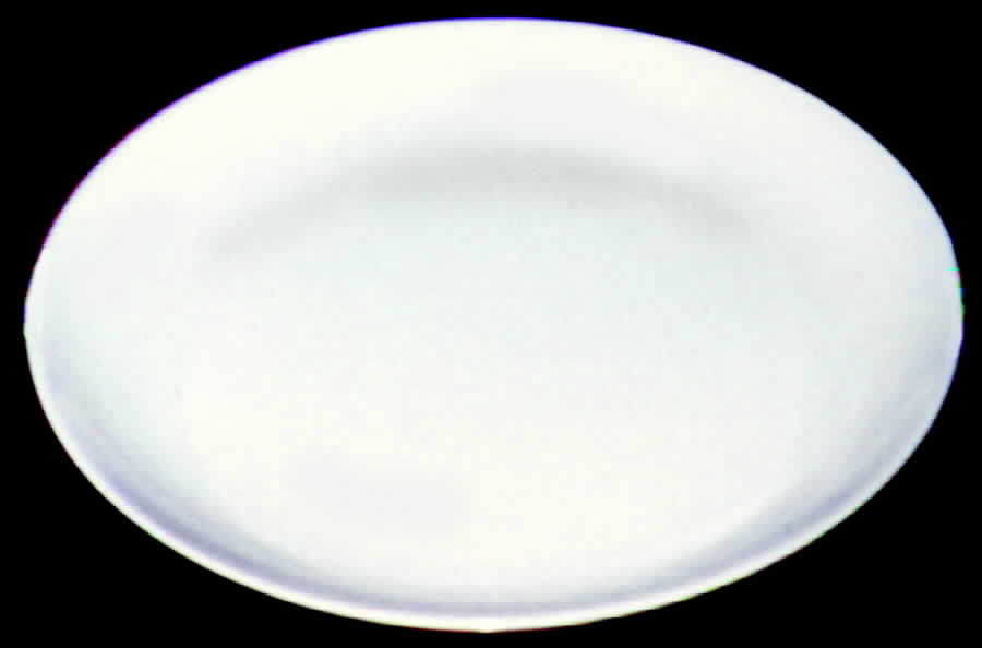 WSO7 Dinner Plate by Williams-Sonoma-1