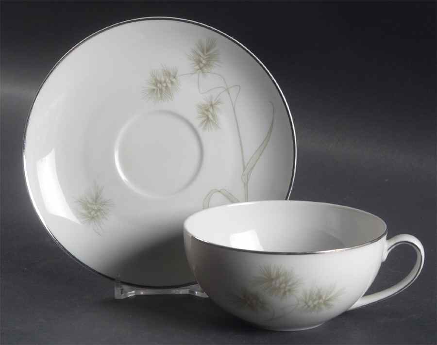 Greenbriar Flat Cup & Saucer Set by Westport-1