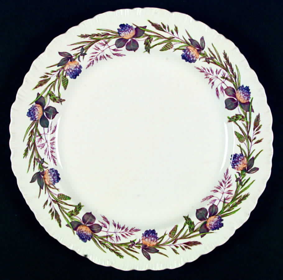 Clover Border Dinner Plate by Wedgwood-1