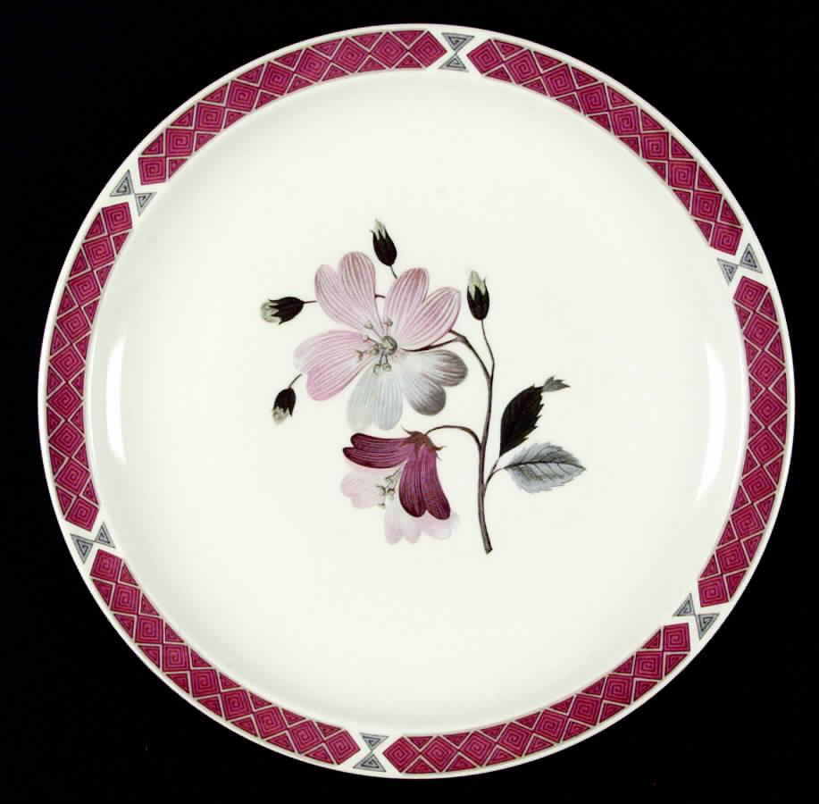 Albany Dinner Plate by Wedgwood-1