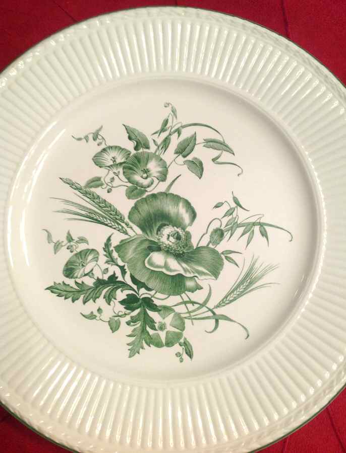 AM8539 Dinner Plate by Wedgwood-1