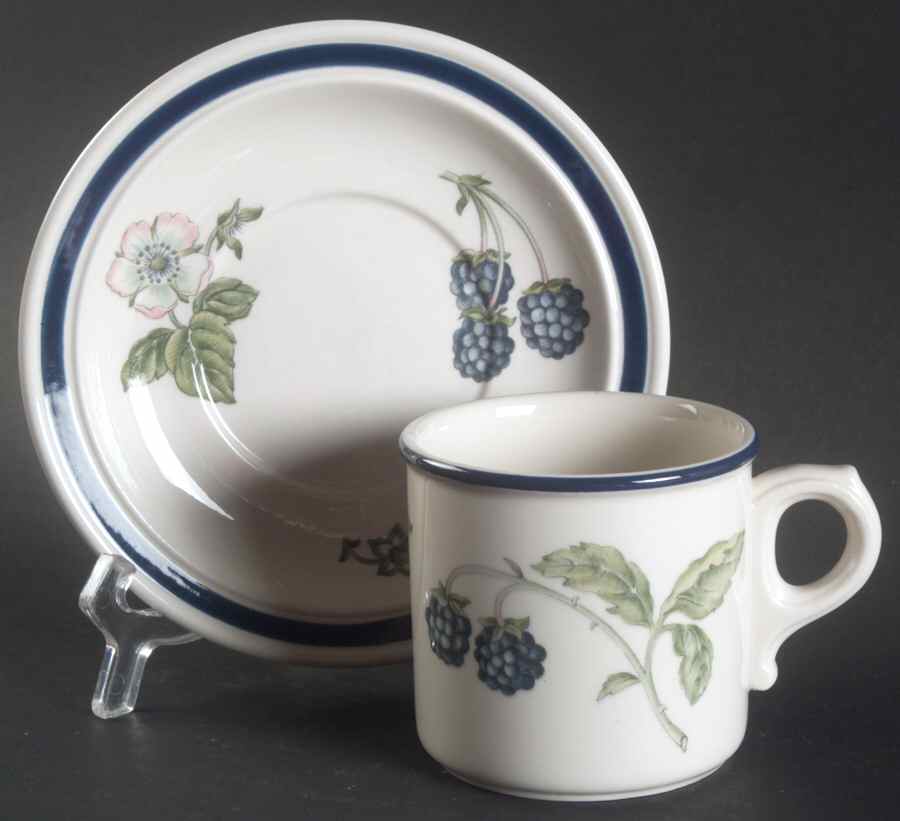 Bramble Multicolor (Oven To Table) Flat Cup & Saucer Set by Wedgwood-1