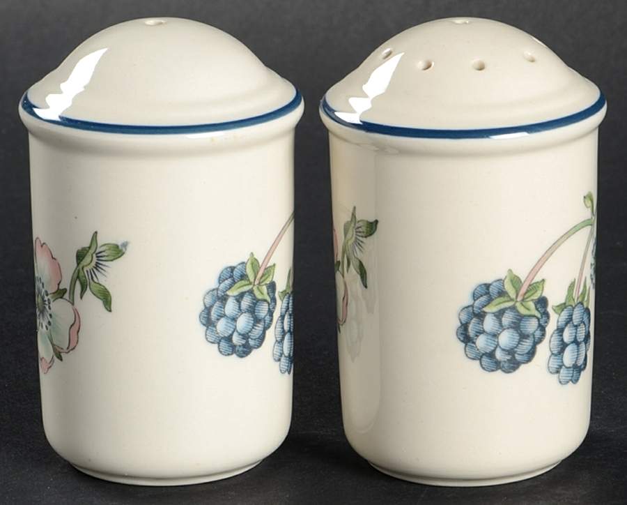 Bramble Multicolor (Oven To Table) Salt & Pepper Set by Wedgwood-1