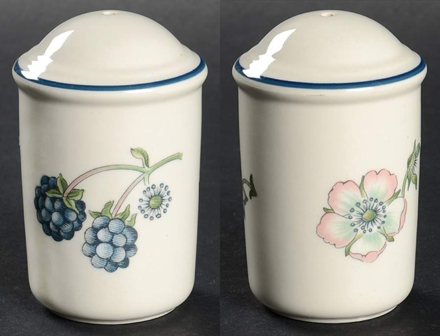 Bramble Multicolor (Oven To Table) Salt Shaker by Wedgwood-1