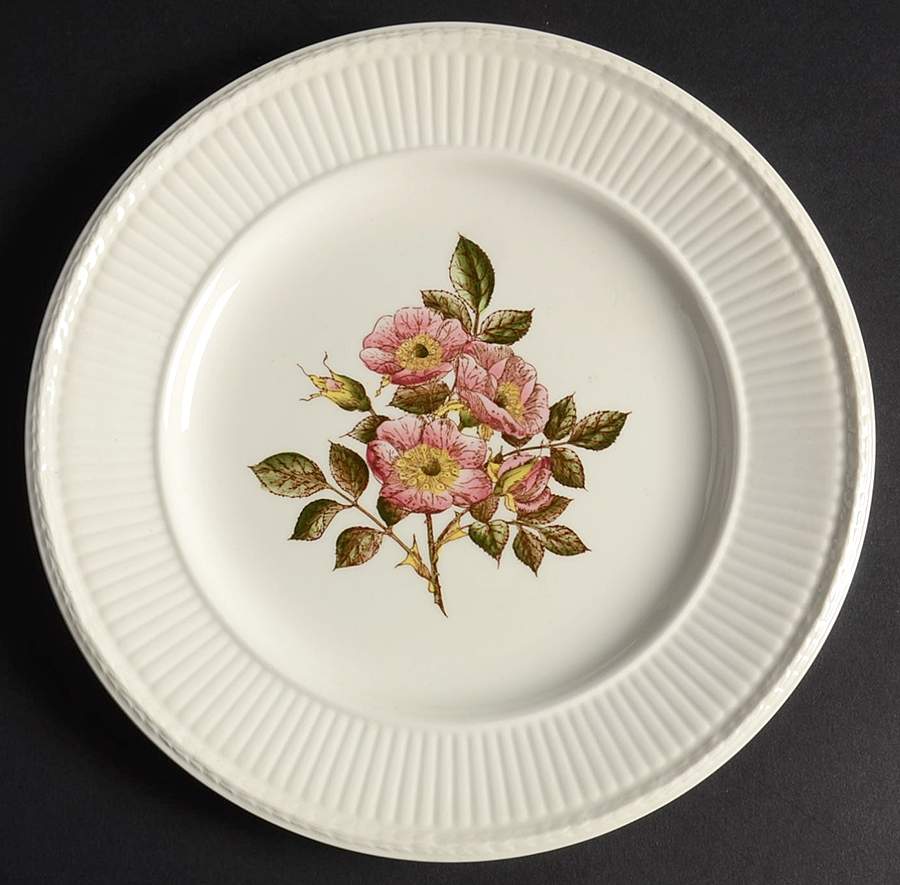 Briar Rose Salad Plate by Wedgwood-1