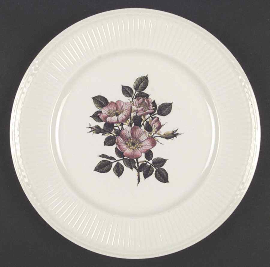 Briar Rose Dinner Plate by Wedgwood-1