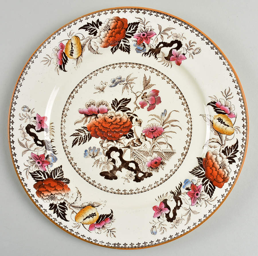 Bullfinch Brown Multicolor (Brown Trim) Dinner Plate by Wedgwood-1