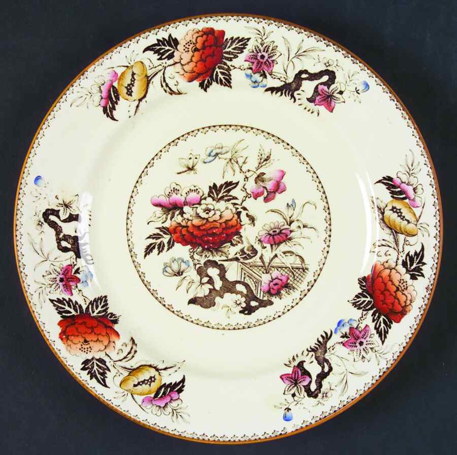 Bullfinch Brown Multicolor (Brown Trim) Salad Plate by Wedgwood-1