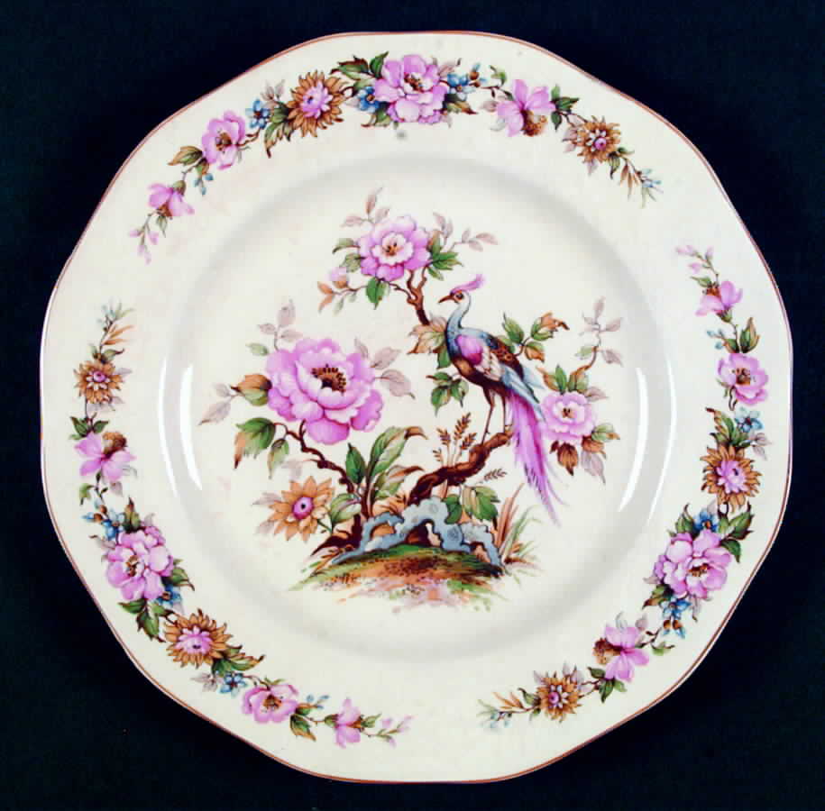 Canterbury Dinner Plate by Wedgwood-1