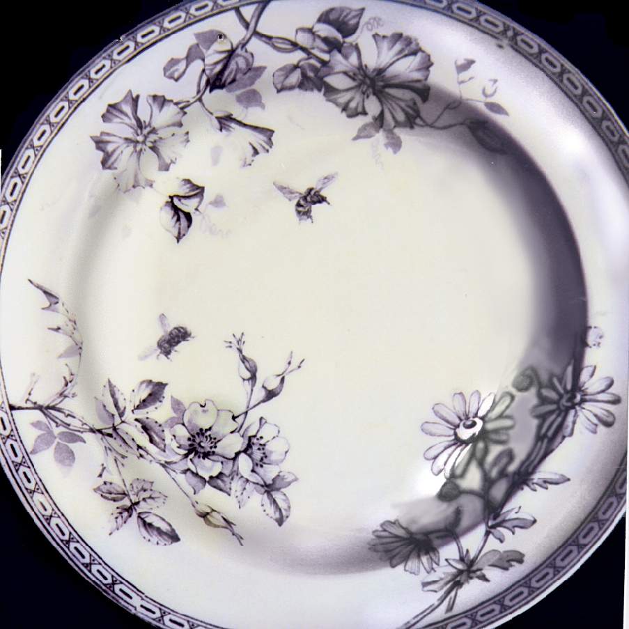 Clematis Gray Dinner Plate by Wedgwood-1