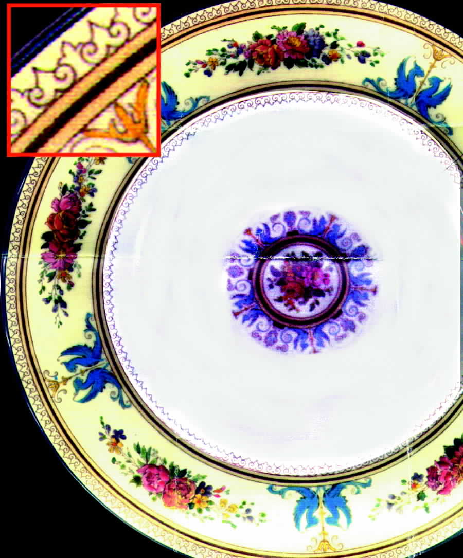 Columbia Ivory (Blue Griffons Rim) Dinner Plate by Wedgwood-1