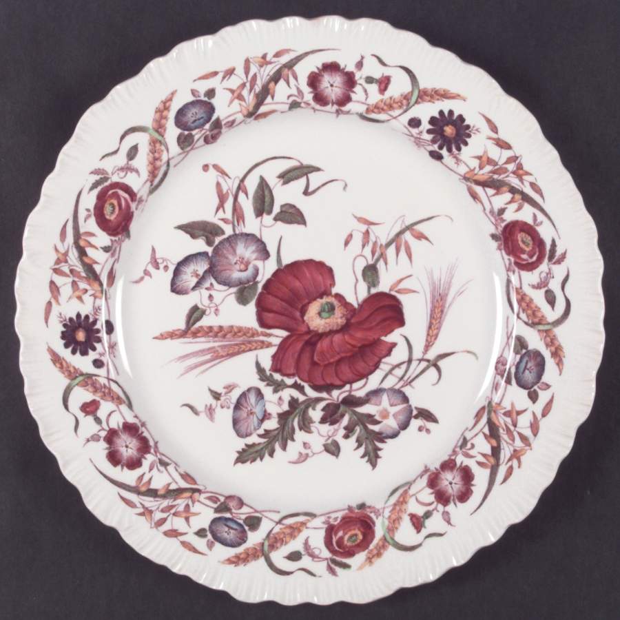 Cornflower Dinner Plate by Wedgwood-1