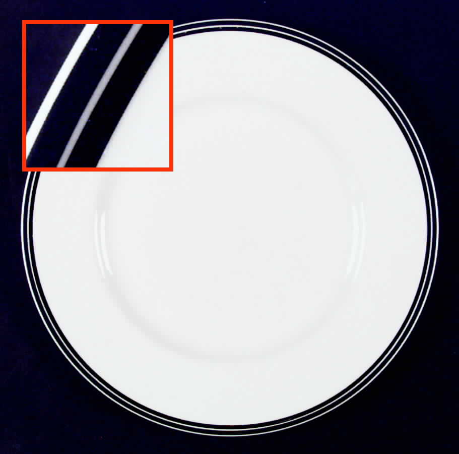 Essence Dinner Plate by Wedgwood-1