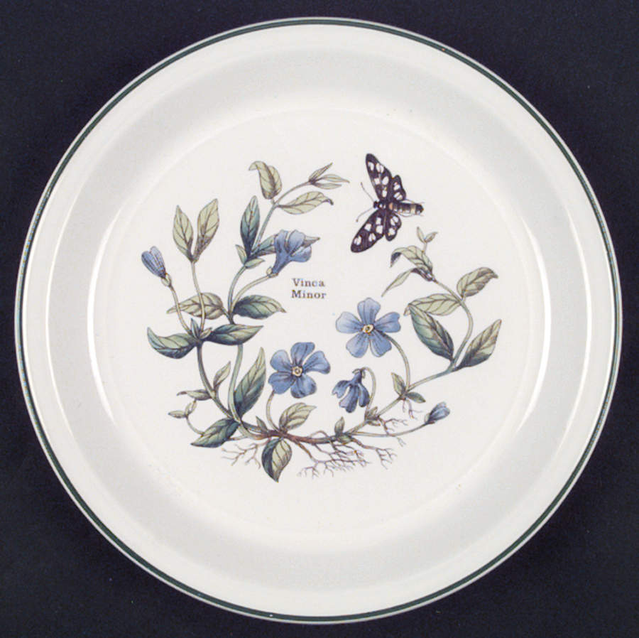 Florabunda Luncheon Plate by Wedgwood-1