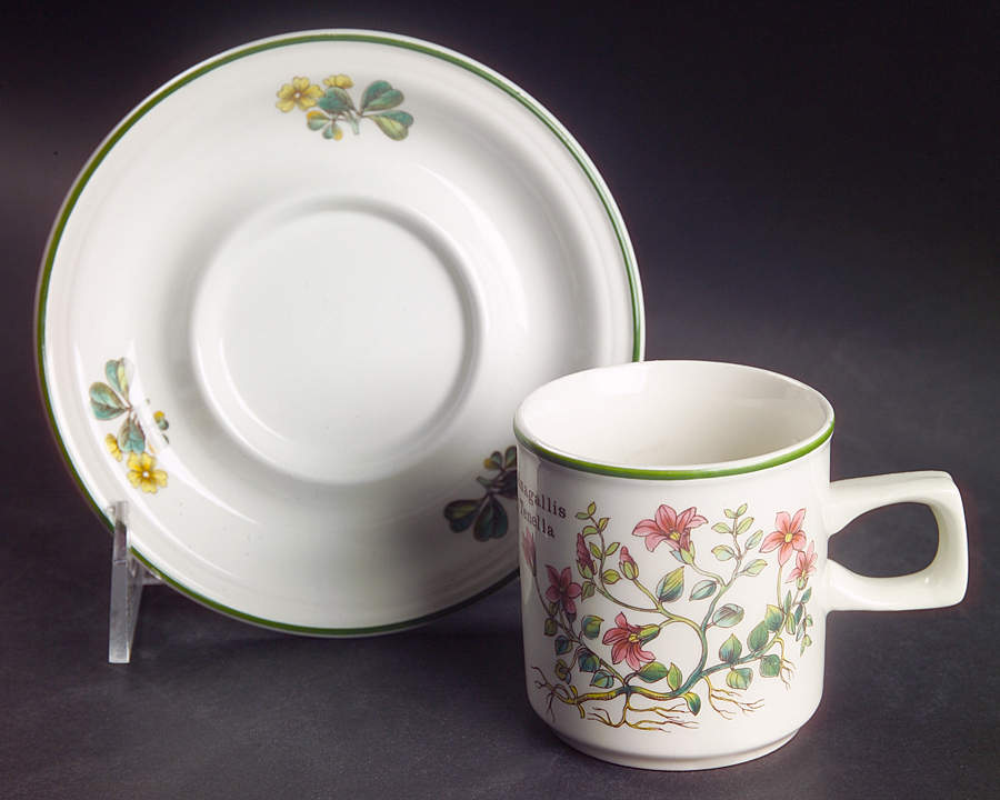 Florabunda Flat Demitasse Cup & Saucer Set by Wedgwood-1