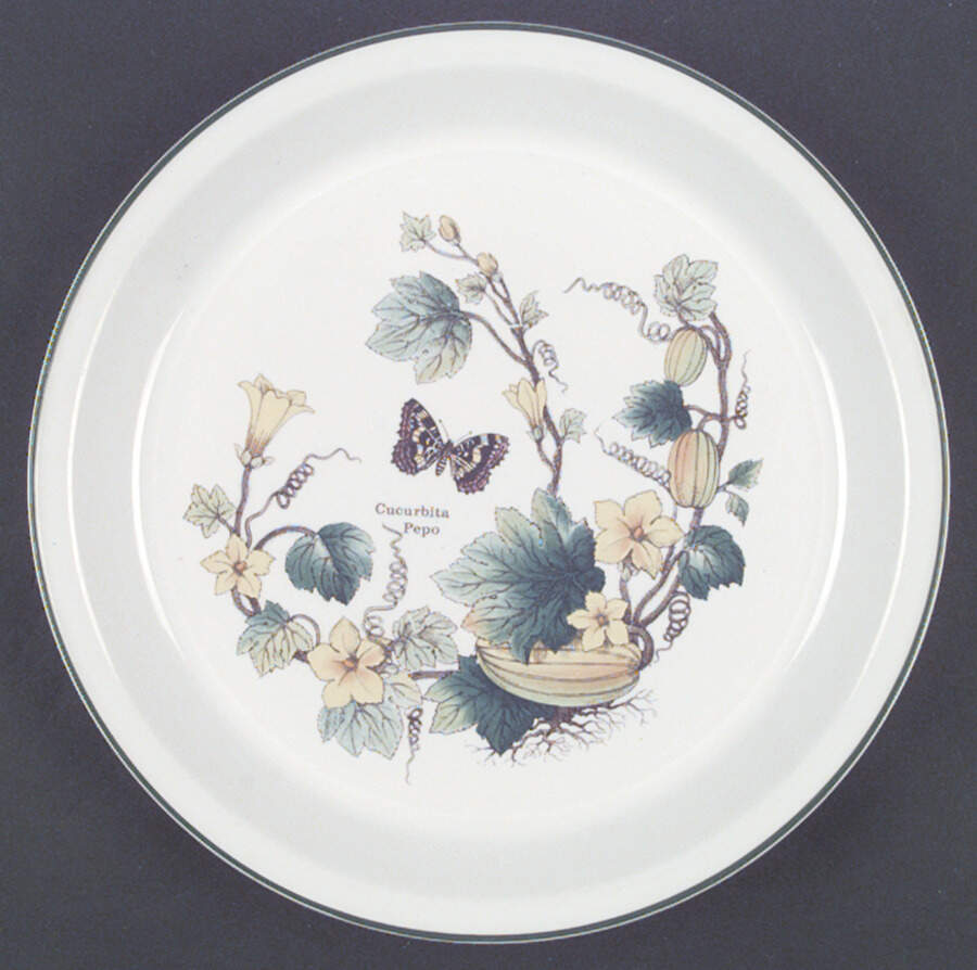 Florabunda Dinner Plate by Wedgwood-1