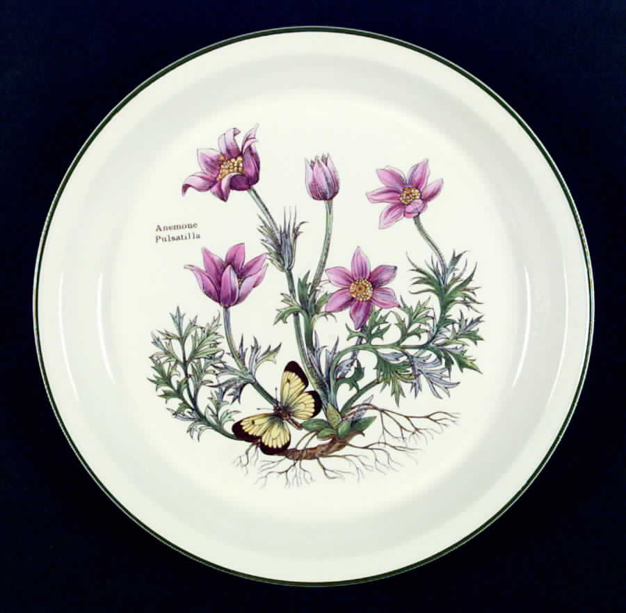 Florabunda Dinner Plate by Wedgwood-1
