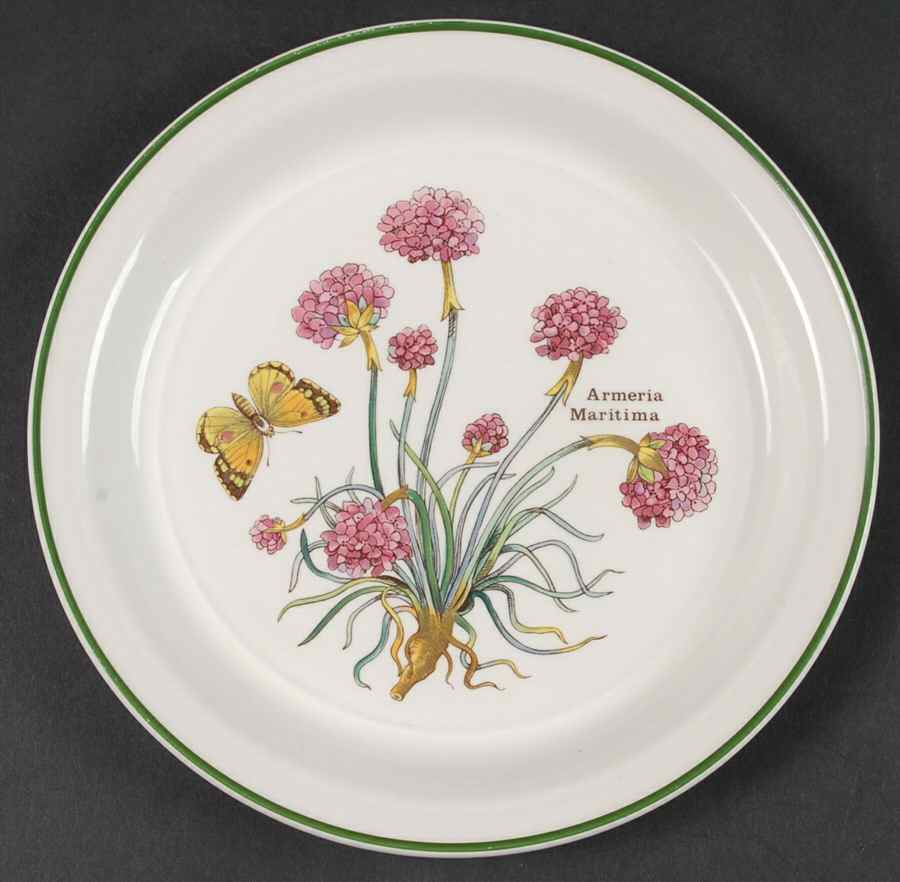 Florabunda Salad Plate by Wedgwood-1