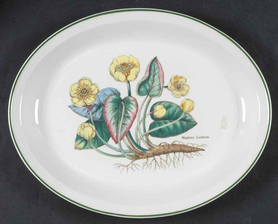 Florabunda 13" Oval Serving Platter by Wedgwood-1