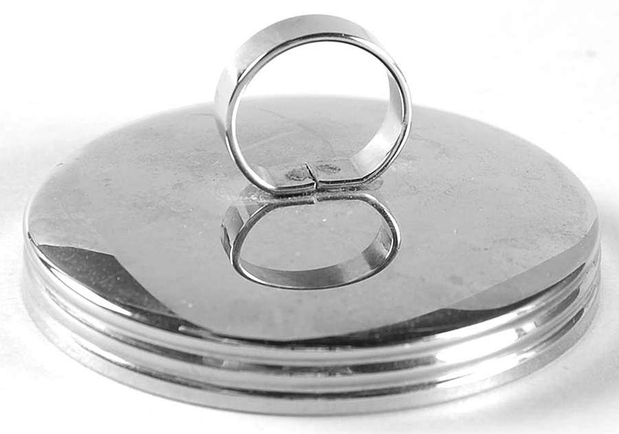 Fruit Sprays Sterling (Coupe Shape) Lid for Egg Coddler by Wedgwood-1