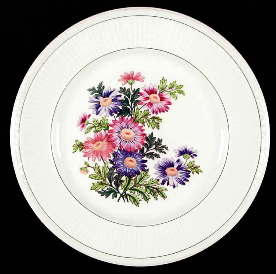Garden Club Dinner Plate by Wedgwood-1