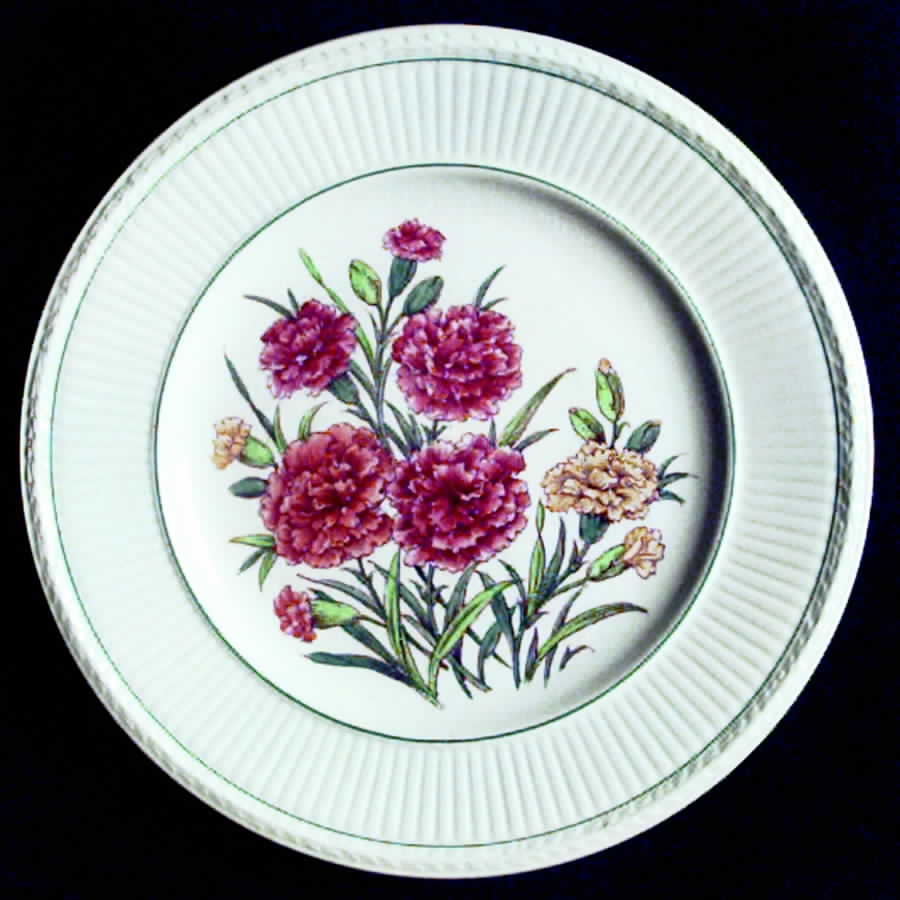 Garden Club Bread & Butter Plate by Wedgwood-1