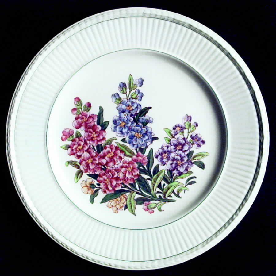 Garden Club Salad Plate by Wedgwood-1